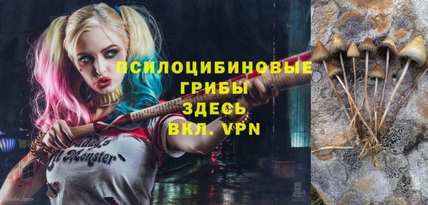 амф Баксан