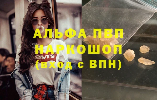 СК Белокуриха